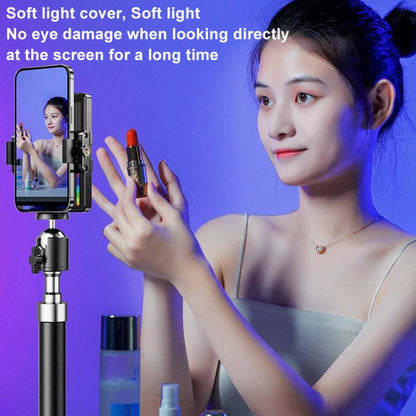 Lampe de poche rechargeable Desiontal M16 RGB Mini lumière de photographie LED Lumière d'appoint pour prise de vue en extérieur