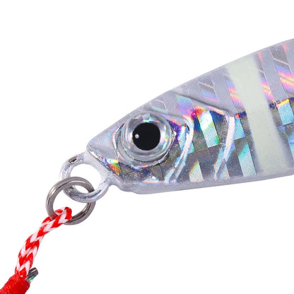 HENGJIA LB149 Slow Cranking Luminous Iron Plate Lead Fishing Bait Lua Naked Fake Bait, Size: 40g(Luminous)