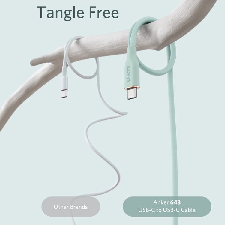 ANKER A8553 Powerline III 1.8m Skin Friendly Dual Type-C Data Cable PD100W Fast Charging Cable(Mint Green)