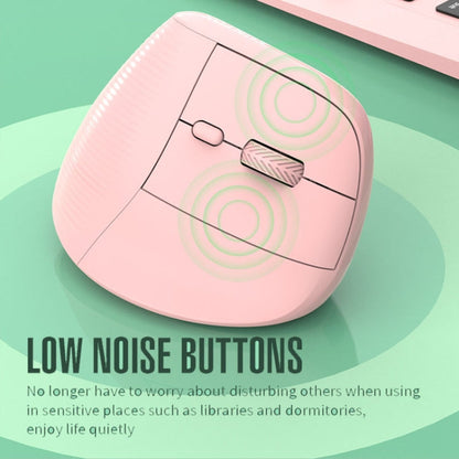 XUNSVFOX H5 Upright Vertical Dual Mode Mouse Rechargeable Wireless Business Office Mouse(Black)