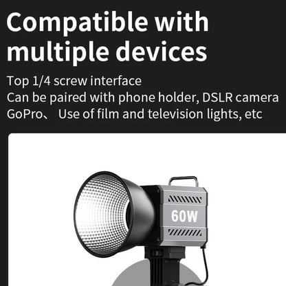 Desiontal ZU-60 60W Hand-Held Camera Light High Power Fill Light, EU Plug, Spec: Standard