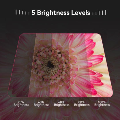 APEXEL APL-FL26 Jewelry Food Still Life Tri-color 9-speed Slim Ring Macro Photography Fill Light