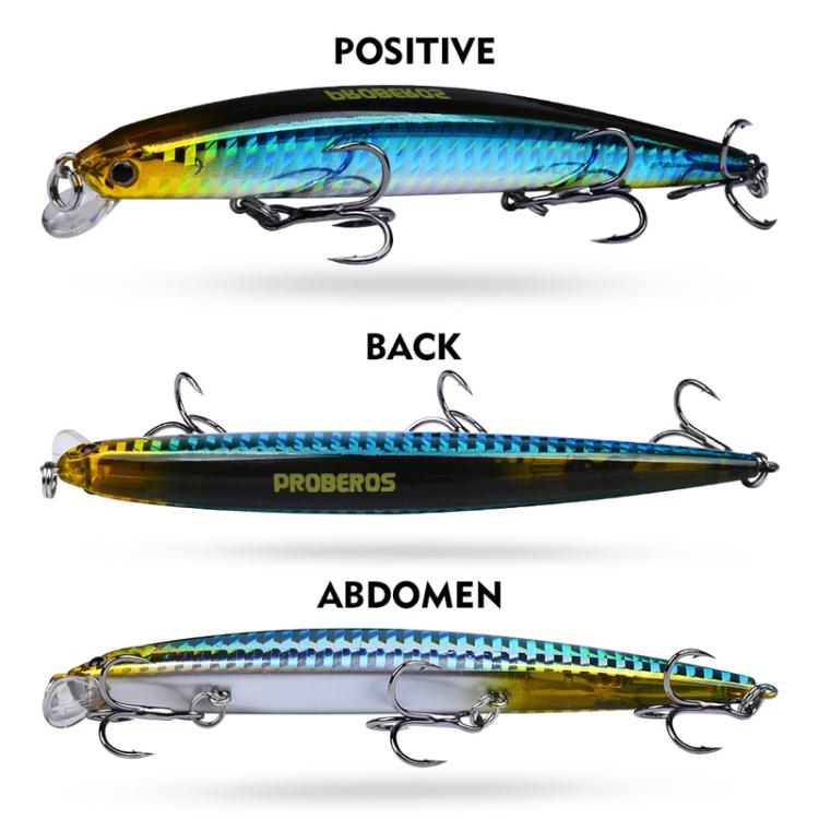 PROBEROS DW622 12.5cm-16g Submerged Minnow Lure All-Purpose Sea Fishing Plastic Bionic Hard Bait(B)