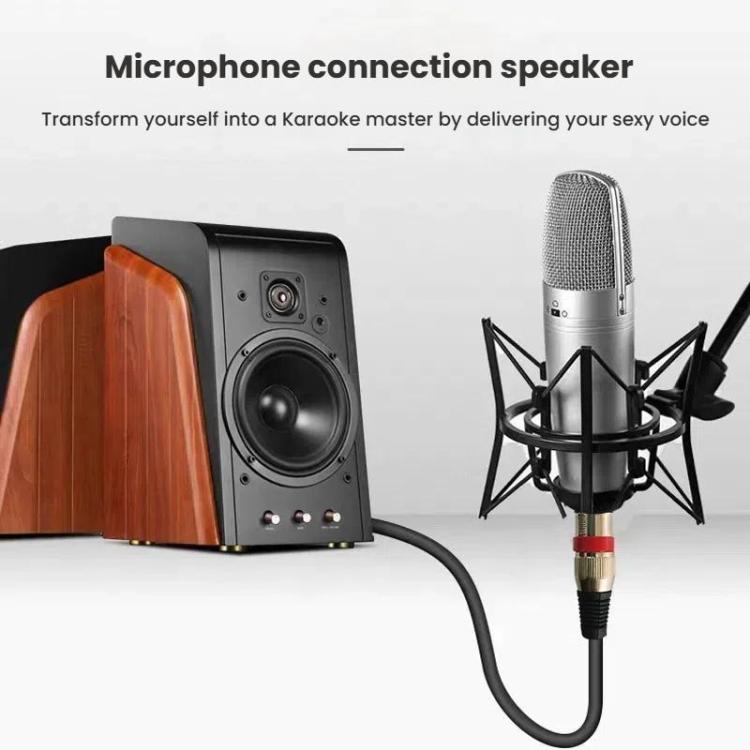 VEGGIEG 3Pin XLR Speaker Loudspeaker Cable Mixer Audio Microphone Cable, Length: 3m(6.5mm To XLR Female)