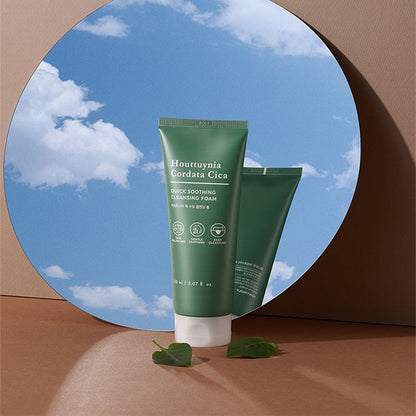 TONYMOLY Houttuynia Cordata Cica Quick Soothing Cleansing Foam 150ml