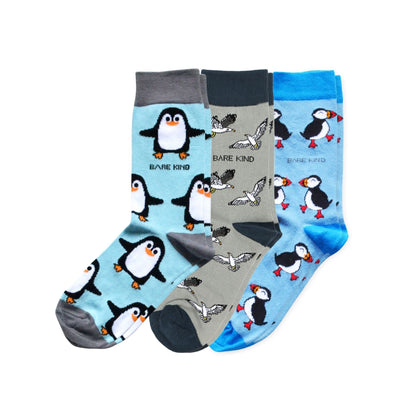 The Seabird Bundle of 3