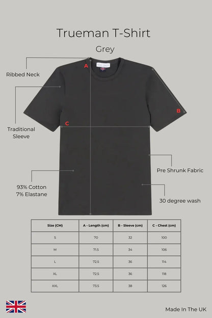 Trueman T-Shirt - Grey