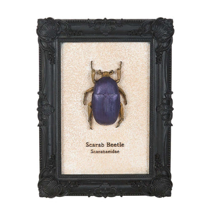 Gothic Gifts Scarab Beetle Framed Wall Art Print