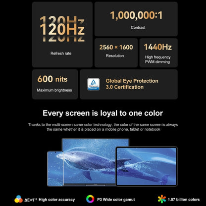 HUAWEI MatePad Pro 12.6 inch 2022 WiFi WGRR-W09 8GB+256GB, HarmonyOS 3 Hisilicon Kirin 9000E Octa Core, Support Dual WiFi / BT / GPS, Not Support Google Play(Blue)
