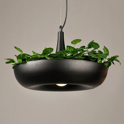 Lumière chaude LED pour décoration d'intérieur, suspension de plantes de jardin, luminaire suspendu pour pots de fleurs à faire soi-même