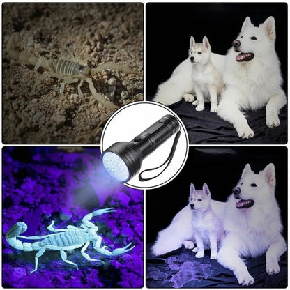 Lampe torche UV à 51 LED 395nm, permet de détecter l'urine d'animaux de compagnie