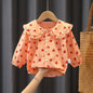 Long Sleeve Blouse