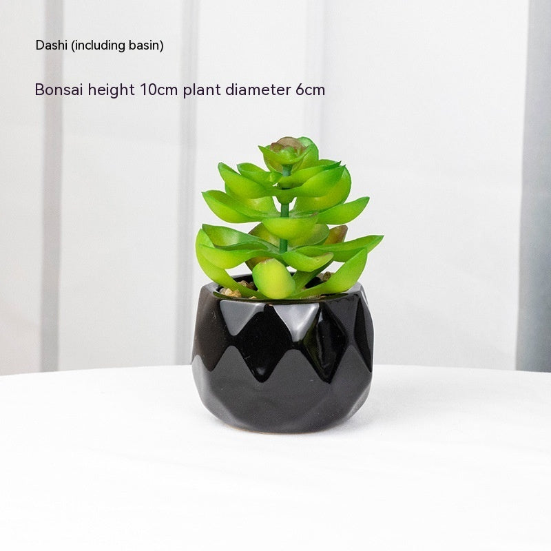 Artificial Green Plant Succulent