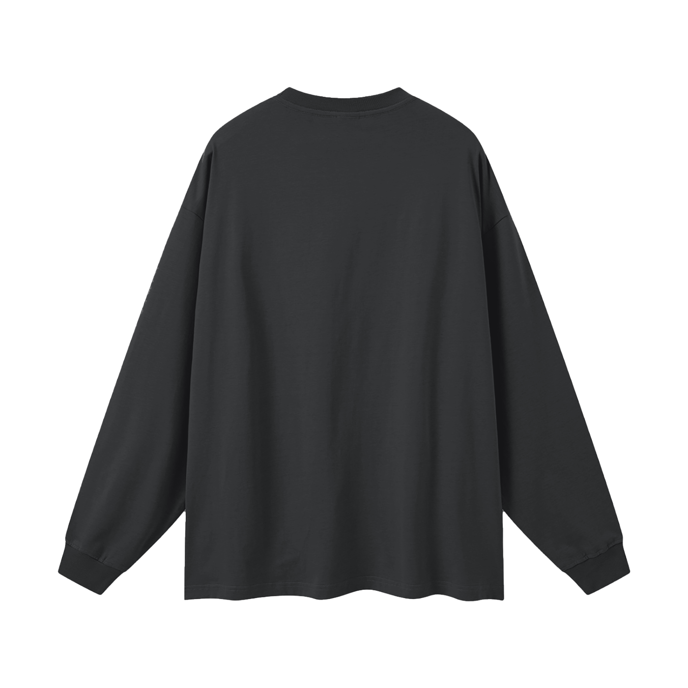 Waran Oversized Long Sleeve T-Shirt