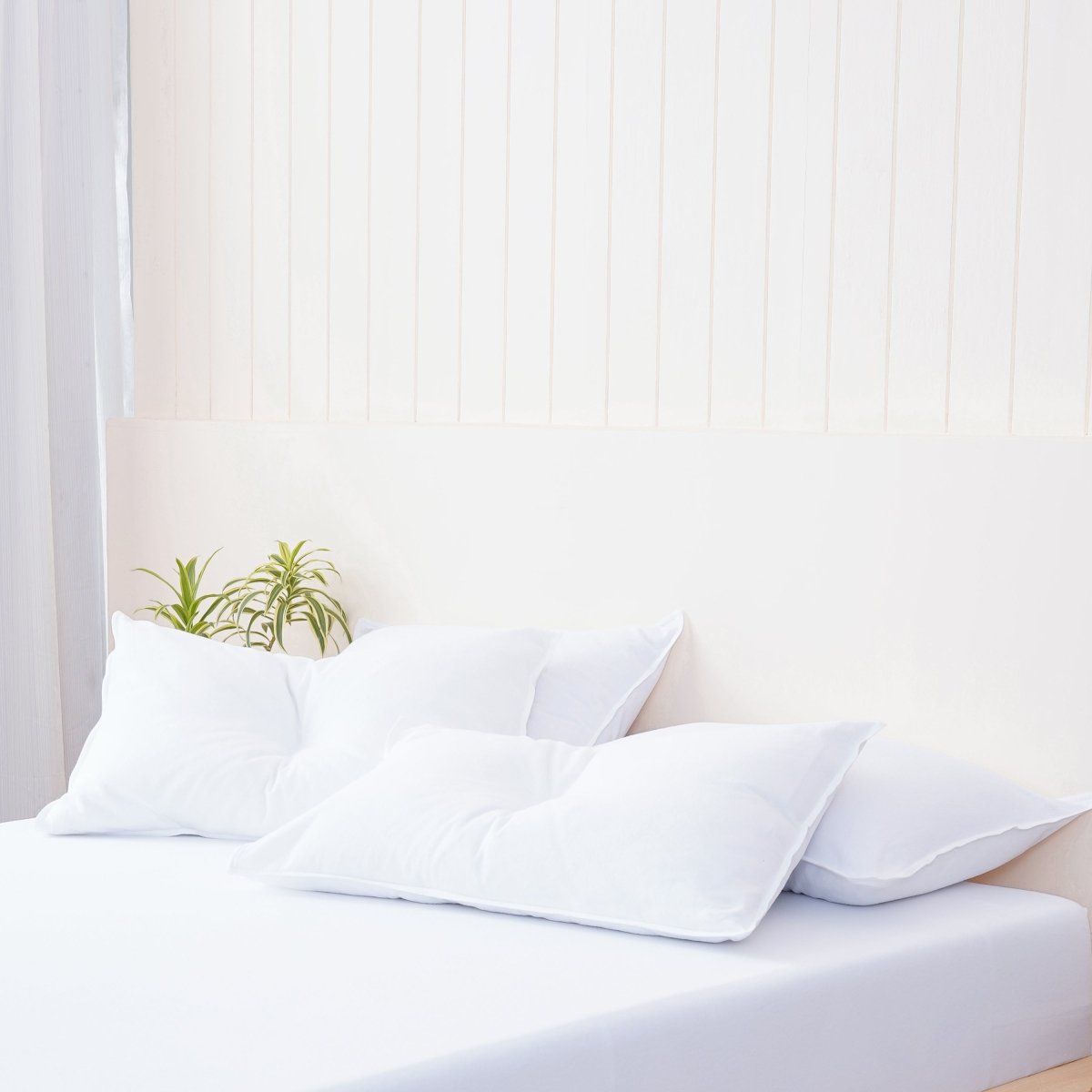 Bella Flannelette (Brushed Cotton) - White Pillowcases Pair