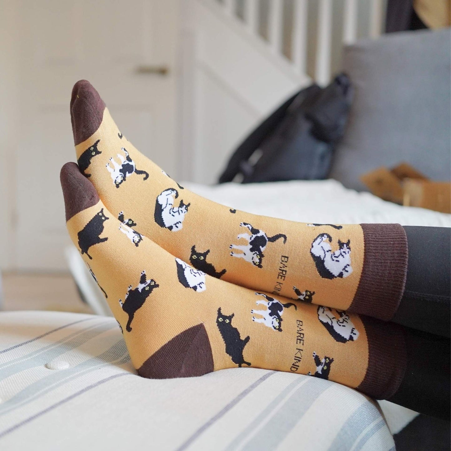 Coffret de chaussettes en bambou Le chat ultime