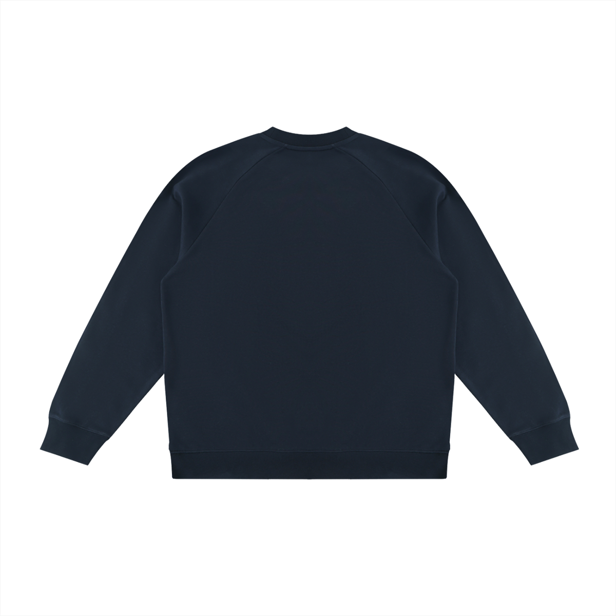 Unisex Color Block Crewneck Sweatshirt