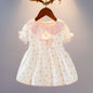 Baby Girl Summer Dress Summer Princess Dress