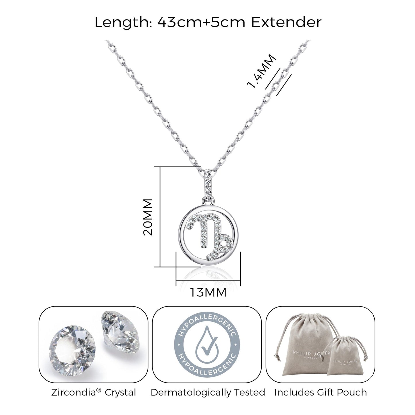 Capricorn Star Sign Zodiac Necklace with Zircondia® Crystals