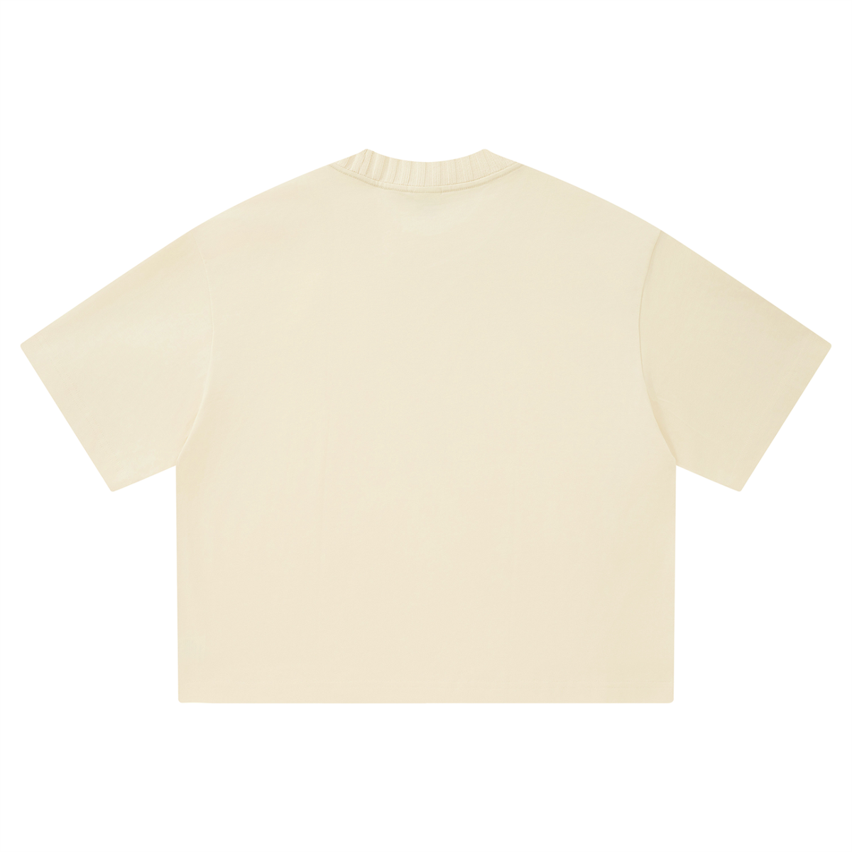 Waran Unisex Heavyweight Boxy T-Shirt