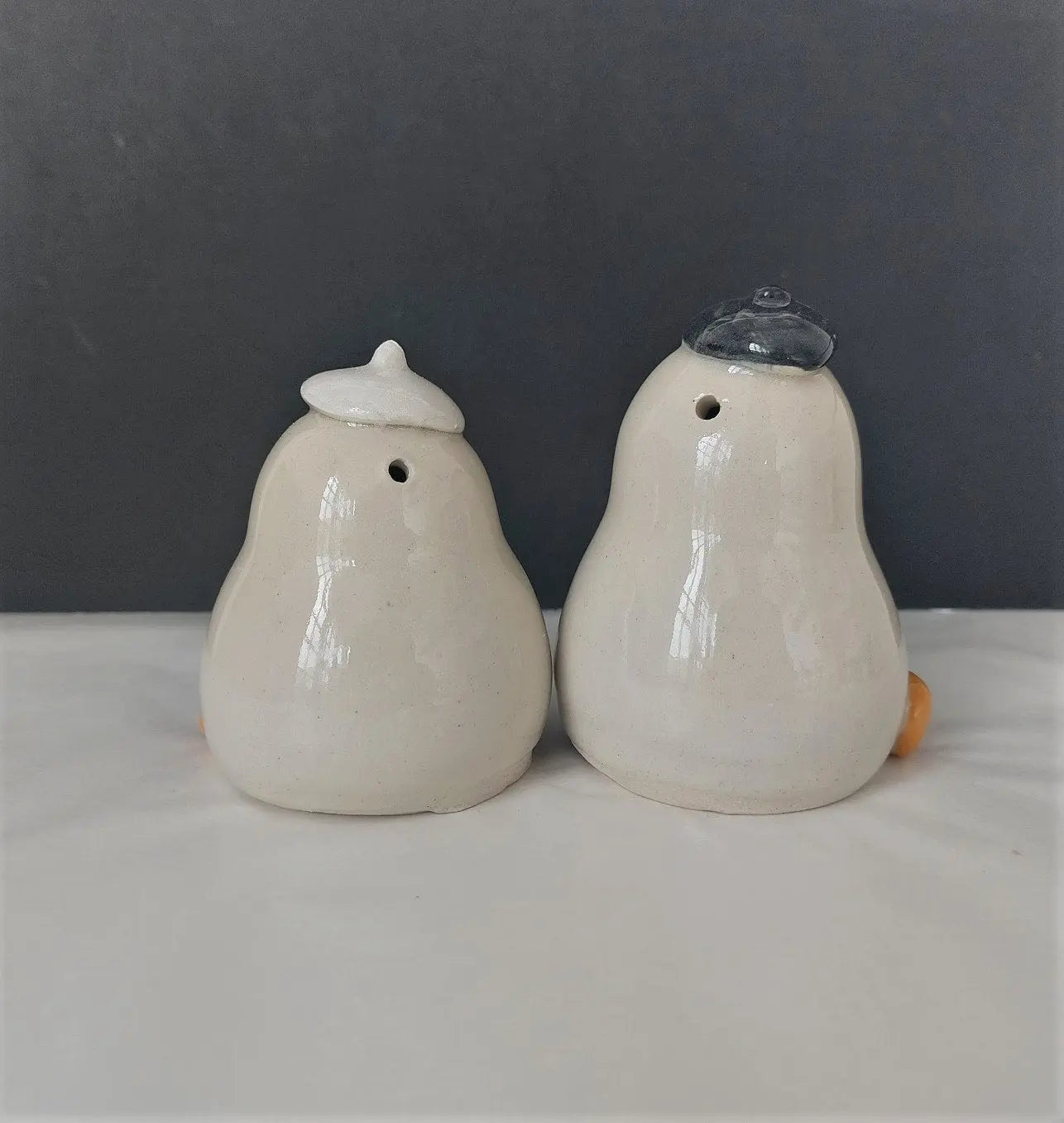Canards salière et poivrière (lot de 2)