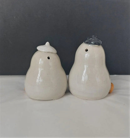 Canards salière et poivrière (lot de 2)
