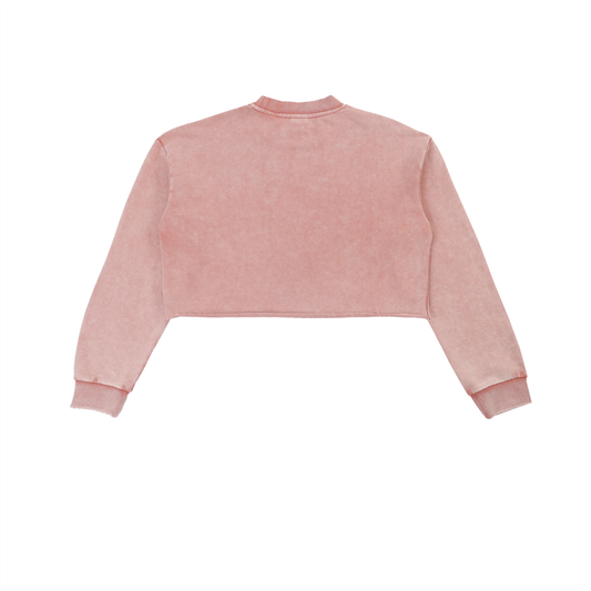 Snow Washed Raw Edge Cropped Sweatshirt