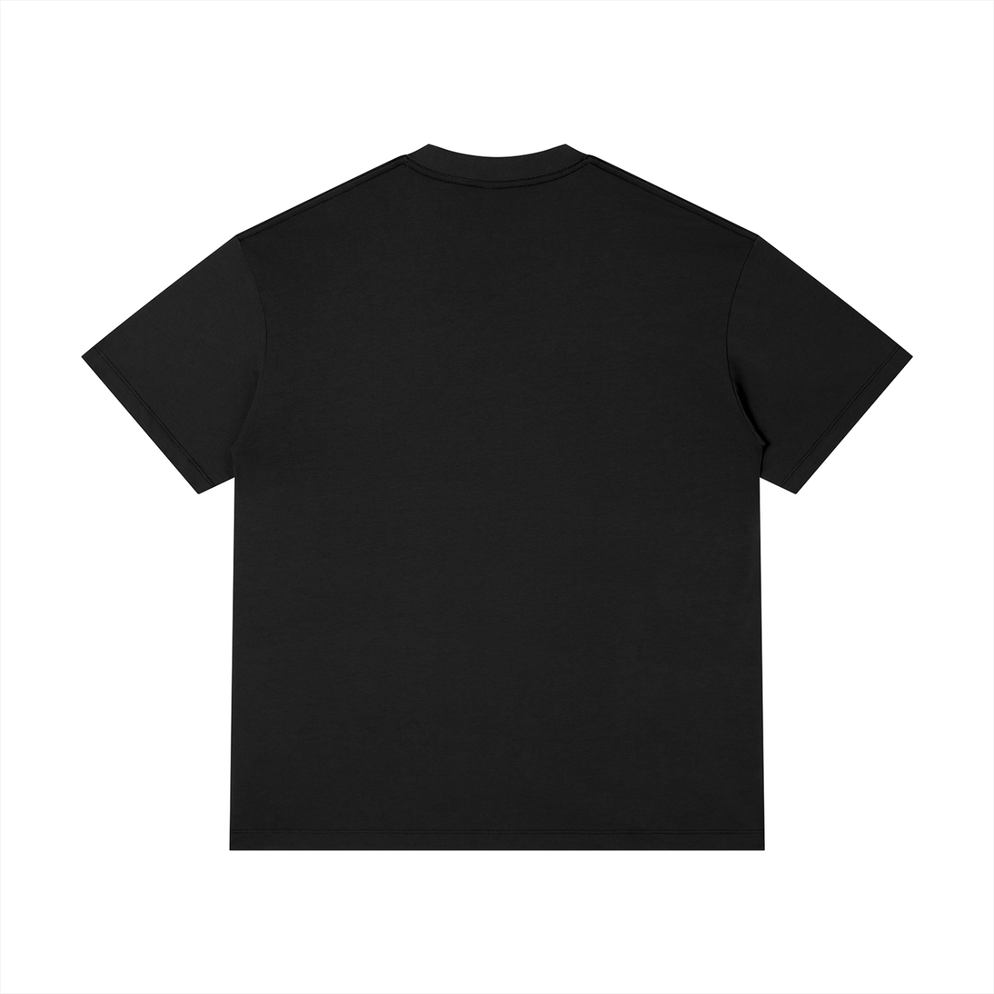 Unisex Regular Fit Crewneck T-Shirt