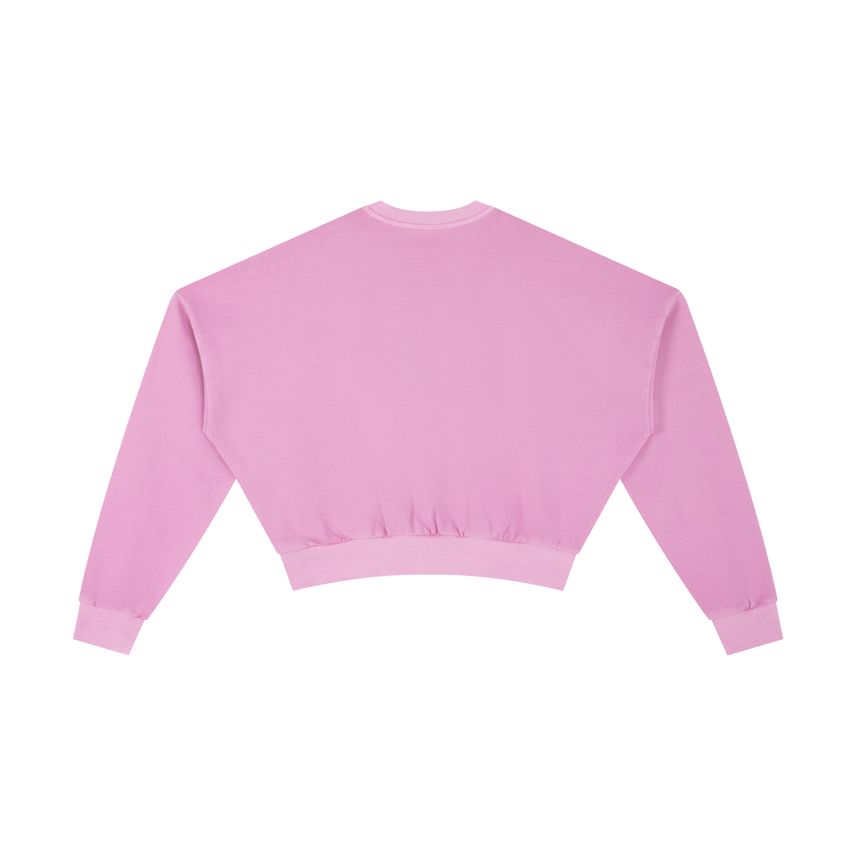 Waran Vintage Washed Cropped Sweatshirt