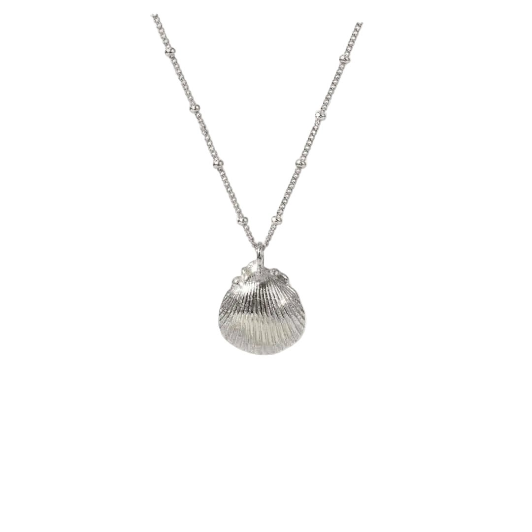 Ocean-Inspired Silver Seashell Necklace
