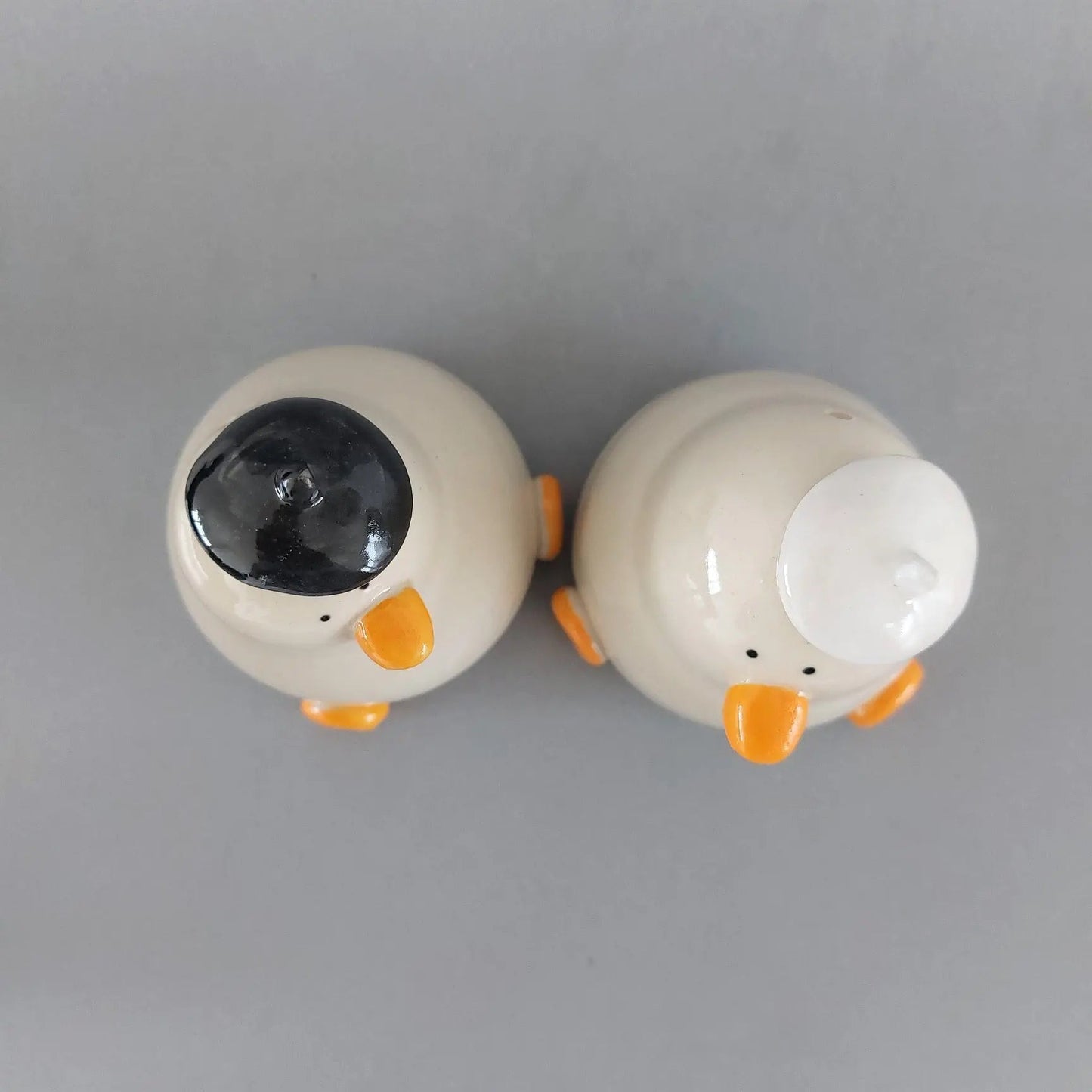 Canards salière et poivrière (lot de 2)