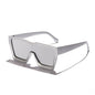 Nouvelles lunettes de soleil personnalisées à grande monture européennes et américaines, lentille monobloc, style INS, lunettes de sport