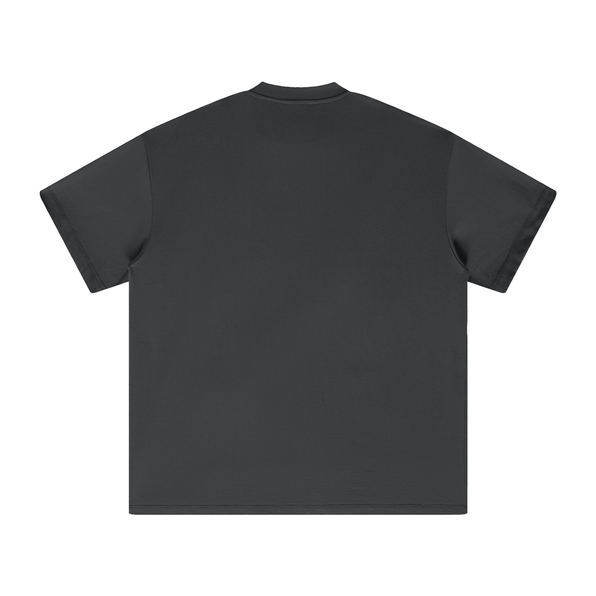 Waran Heavyweight Earth Tone T-Shirt