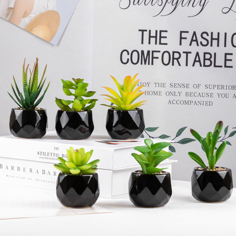 Artificial Green Plant Succulent