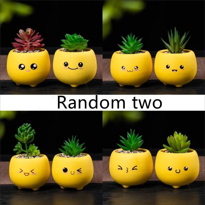 1375ad426762c8dc8186b2d0c8b18ea0