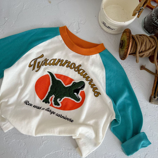 Boys Cotton Long Sleeve T-Shirt