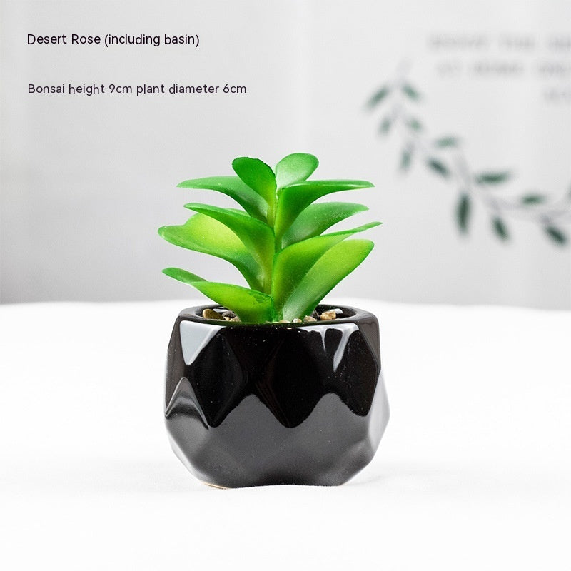 Artificial Green Plant Succulent