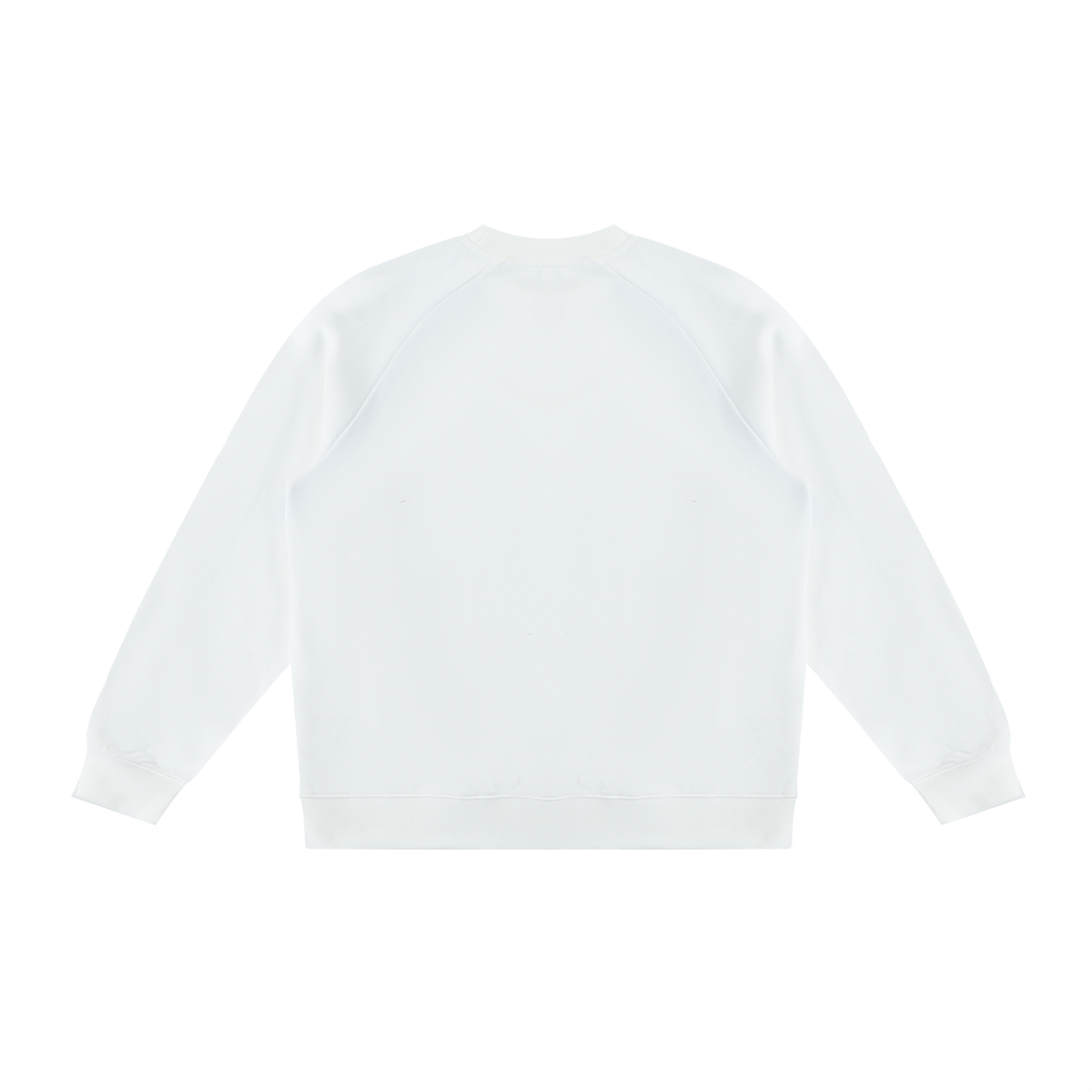Unisex Color Block Crewneck Sweatshirt