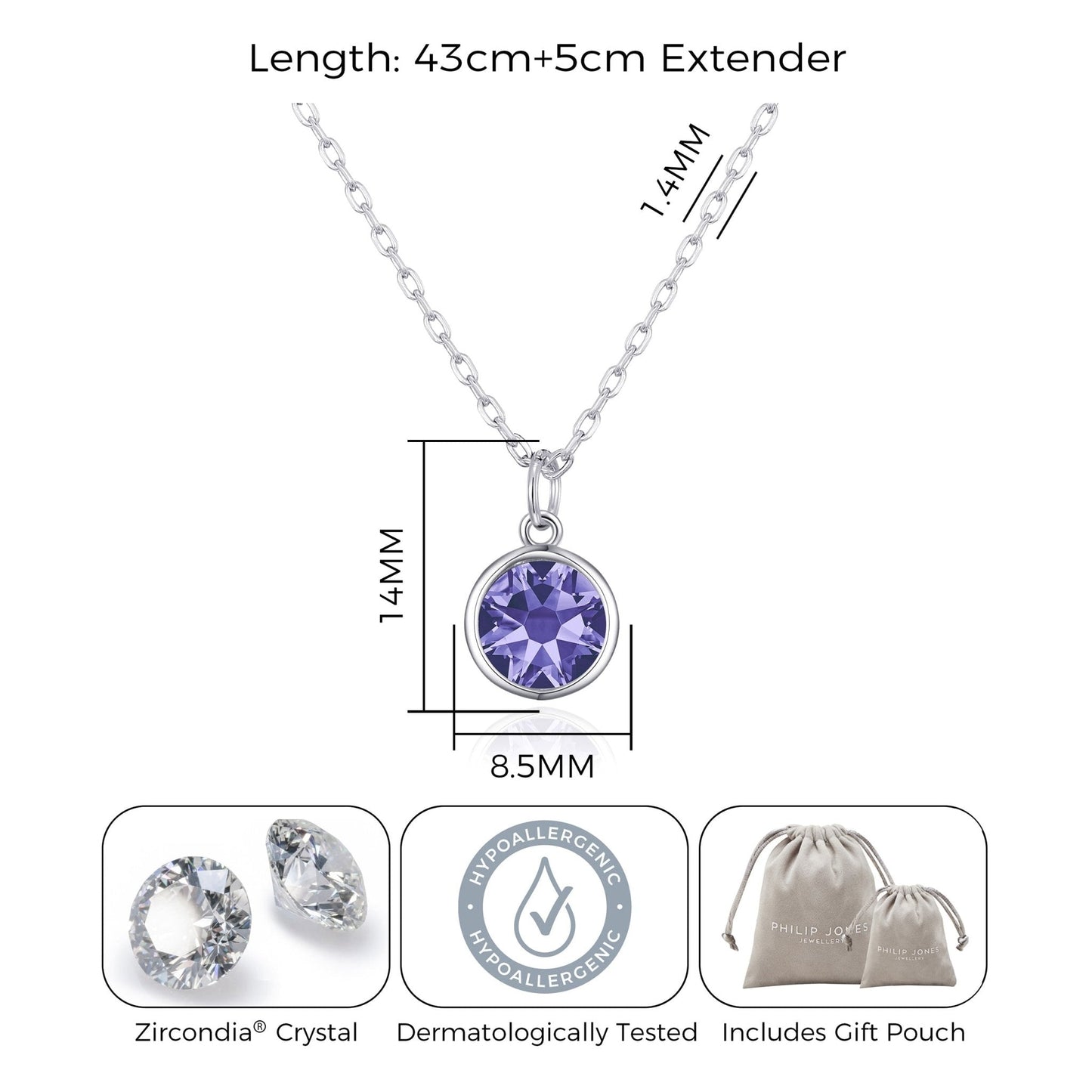 February (Amethyst) Birthstone Necklace Created with Zircondia® Crystals