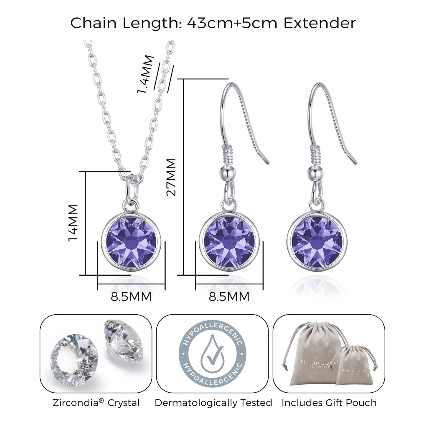 February (Amethyst) Birthstone Necklace & Drop Earrings Set Created with Zircondia® Crystals