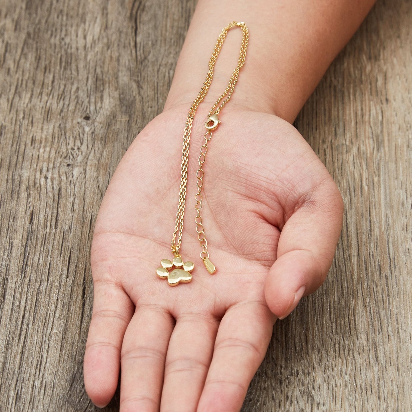 Gold Plated Dog Paw Necklace