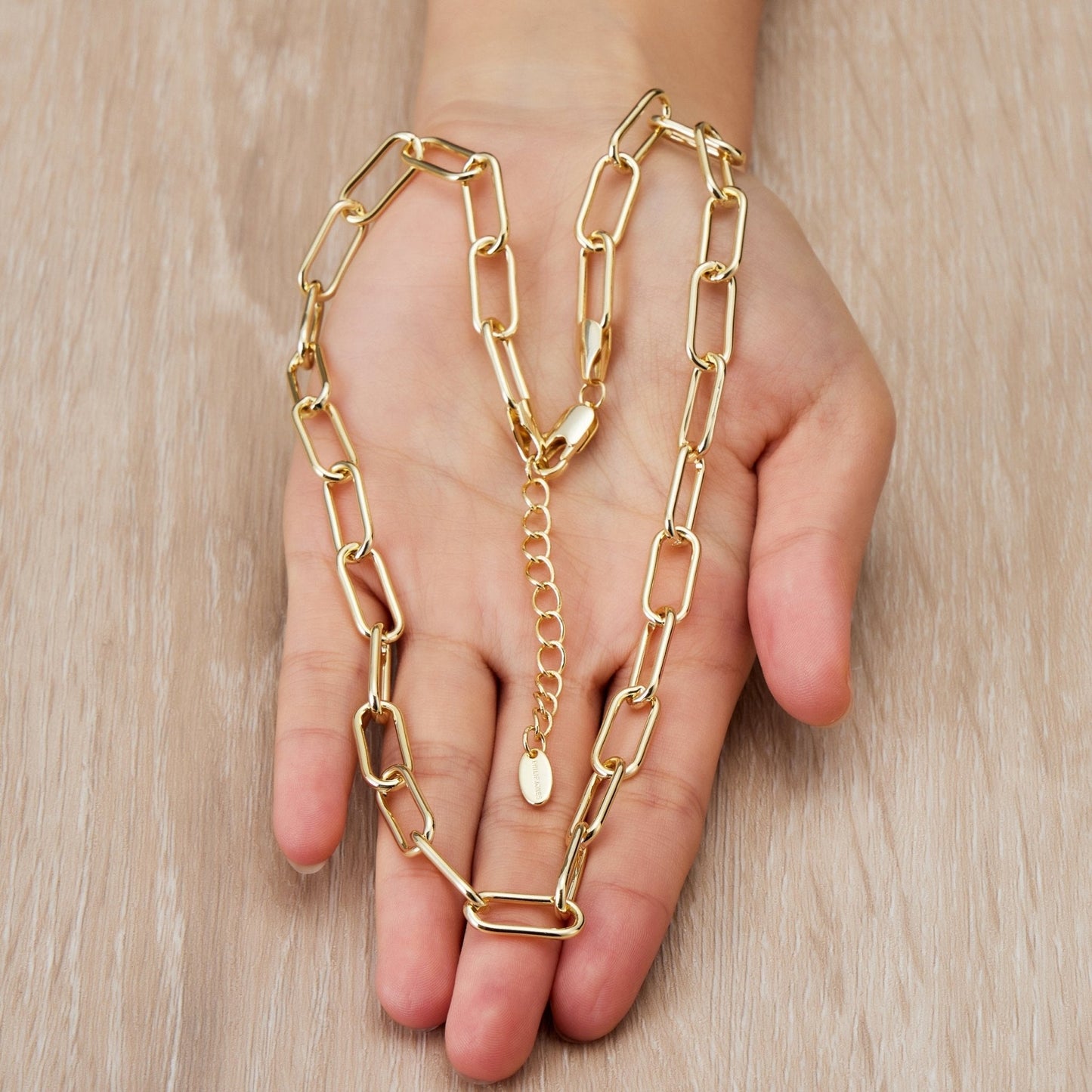 Gold Plated Paperclip Necklace