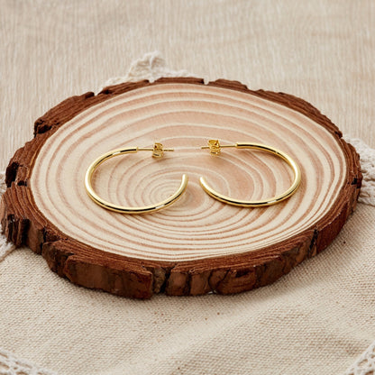 Gold Plated Round Hoop Earrings