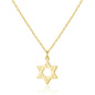 Gold Plated Star of David Necklace