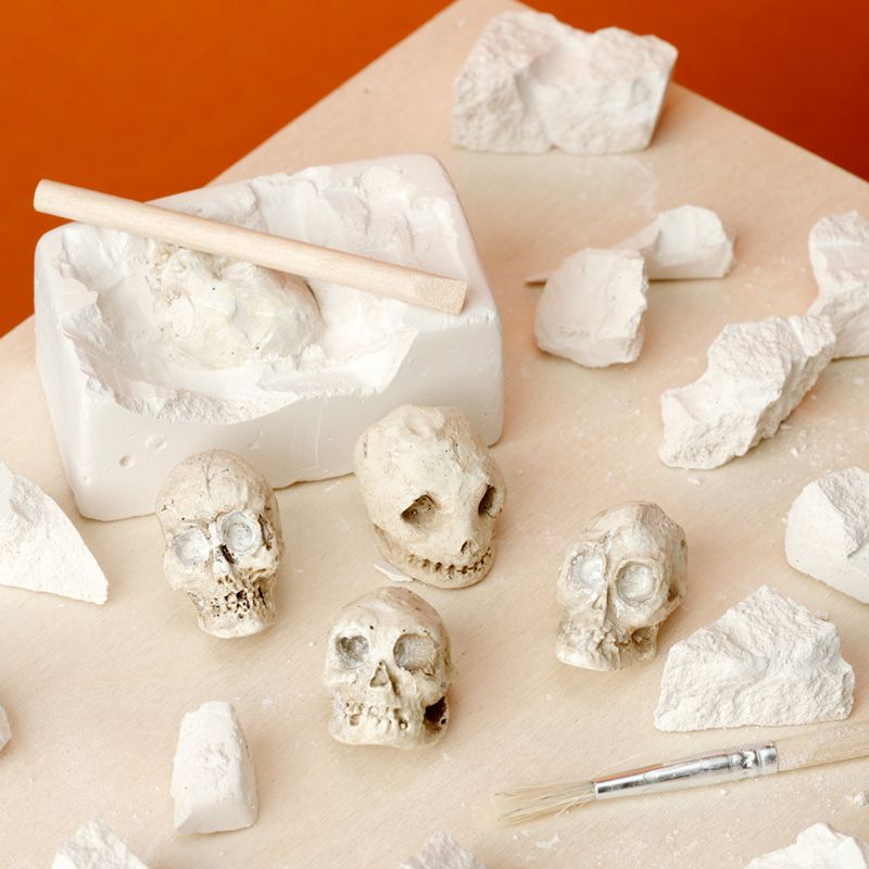 Gothic Gifts Kit de fouille tête de mort