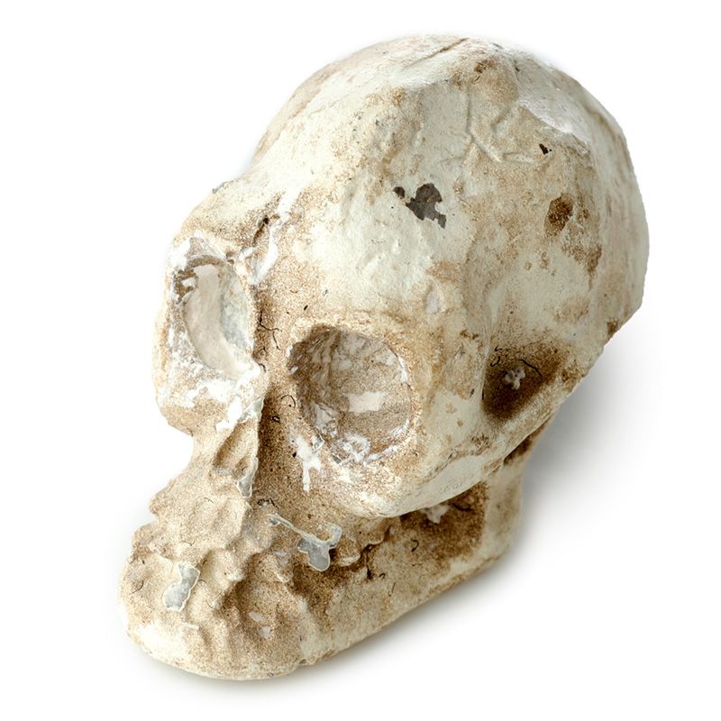 Gothic Gifts Kit de fouille tête de mort