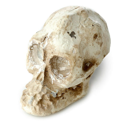 Gothic Gifts Kit de fouille tête de mort