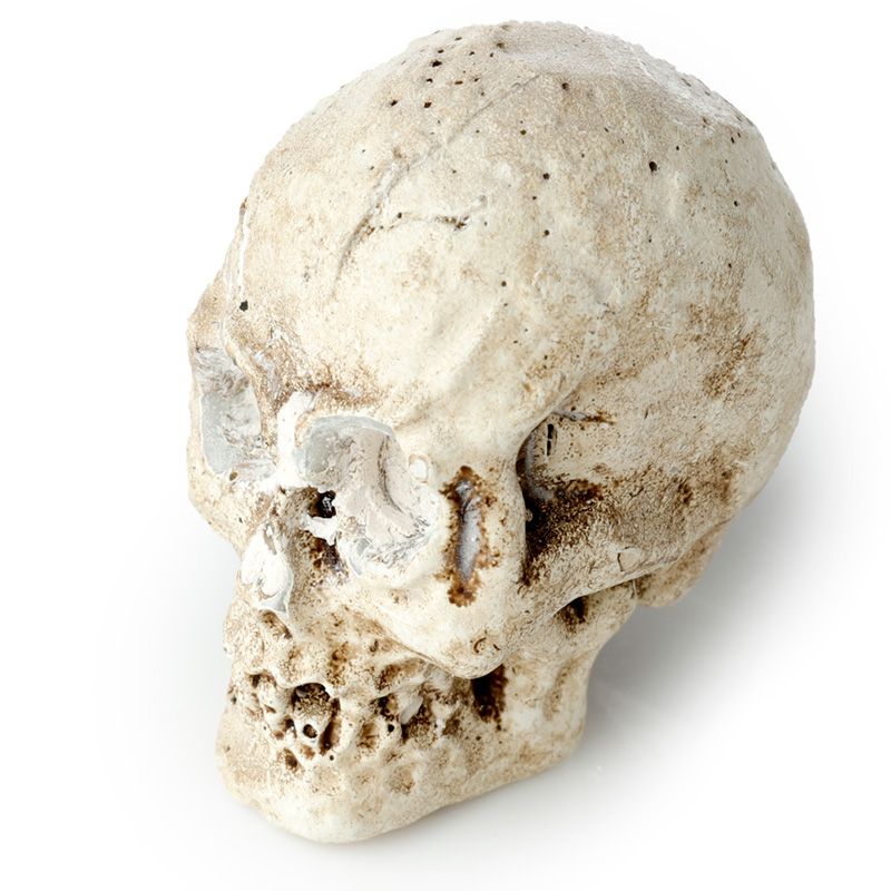 Gothic Gifts Kit de fouille tête de mort