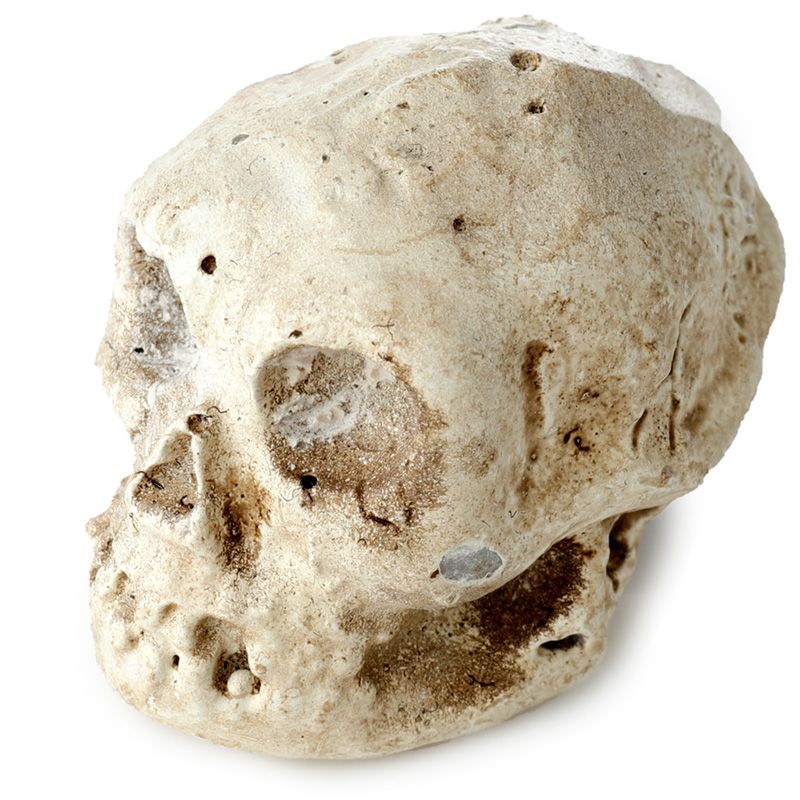 Gothic Gifts Kit de fouille tête de mort