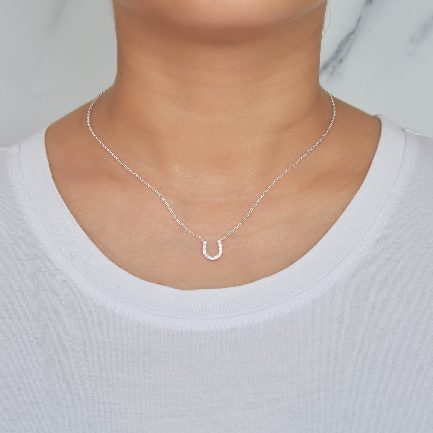 Horseshoe Necklace Created with Zircondia® Crystals